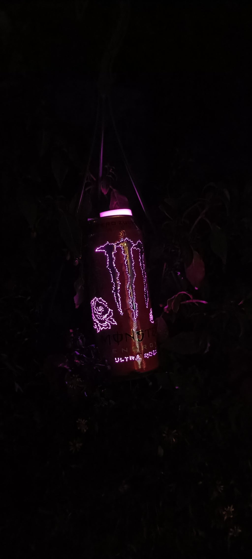Leuchtende Monster Rosa Dose mit Rosen Design